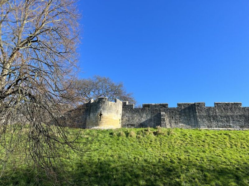 York: City Chronicles Historical Walking Tour - Highlights