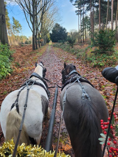 York: Horse Drawn Carriage Ride Around the Countryside York - Pricing Information