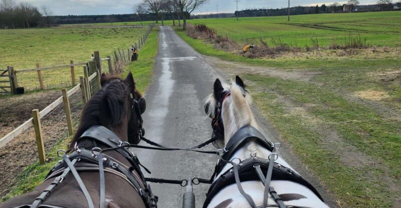 York: Horse Drawn Carriage Ride & Cream Tea - Duration and Timing
