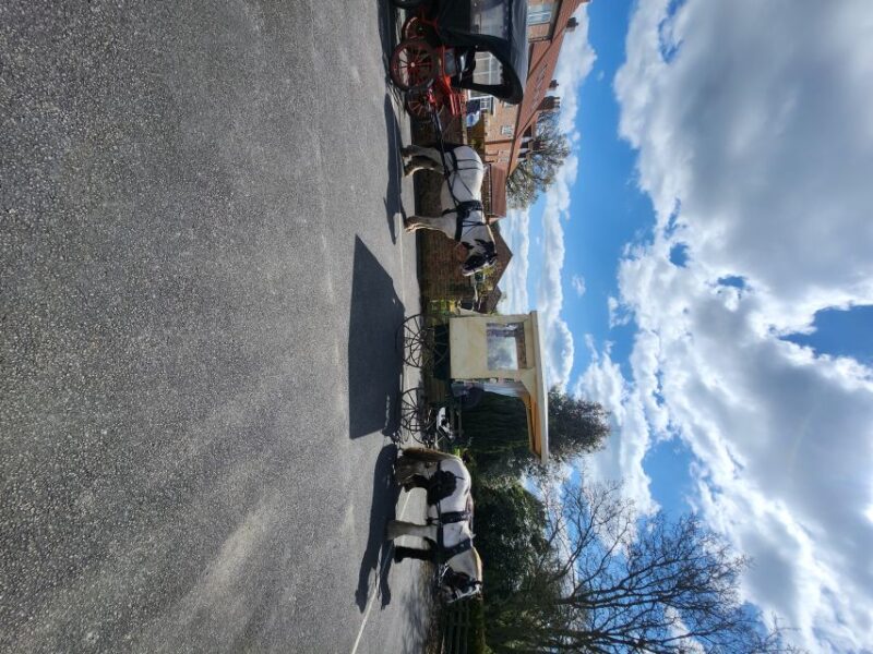 York: Horse Drawn Carriage Ride & Cream Tea - Meeting Point and Location