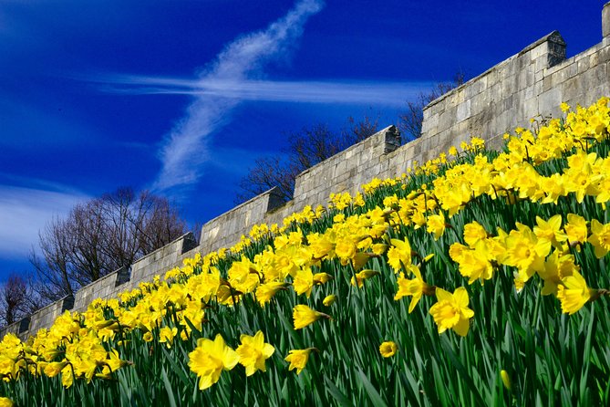 York Small-Group Evening Walking Tour With Guide - Tour Duration and Accessibility