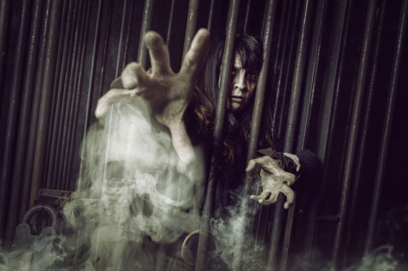 York: The York Dungeon Entry Ticket - Experience Highlights