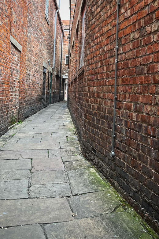 York's Snickelways Story Walking Tour - Experience Highlights