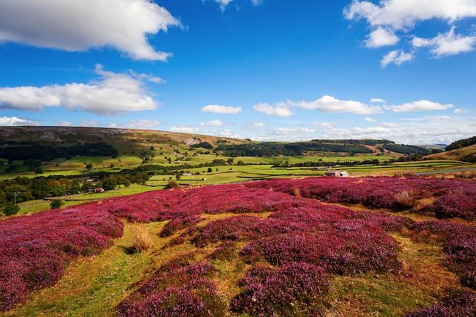 Yorkshire Dales Day Trip From York - Highlights of the Day Trip