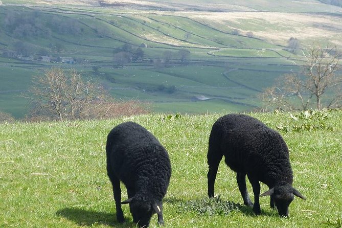 Yorkshire Dales Day Trip From York - Sampling Wensleydale Cheese