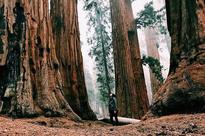 Yosemite 3-Day Lodging Adventure From San Francisco - Travel Time Implications