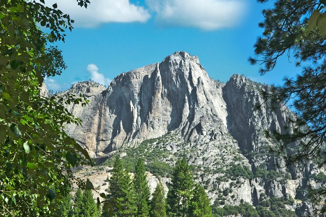 Yosemite Adventure: Full-Day Private Tour From San Francisco - Booking and Availability
