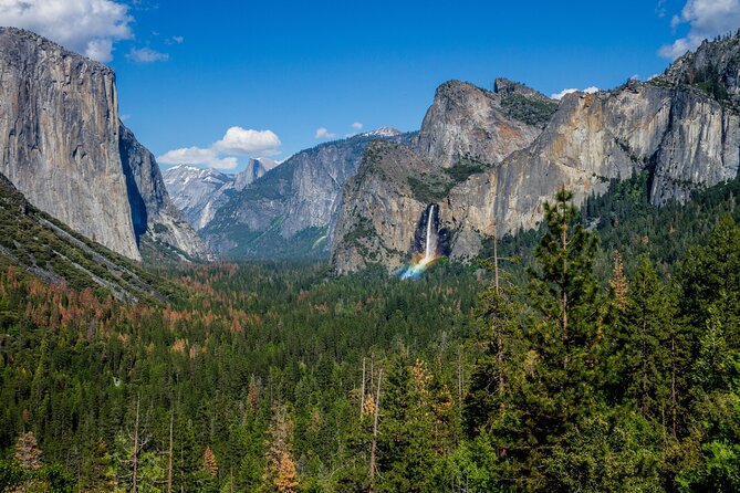 Yosemite and Giant Sequoias Day Tour - Group Size