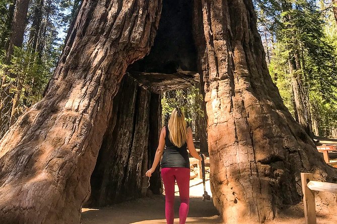 Yosemite and Giant Sequoias Day Tour - Additional Details