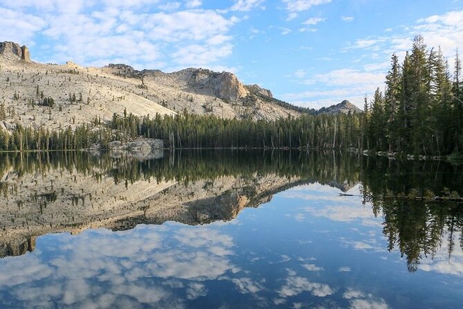 Yosemite and Kings Canyon National Park 2 Day Tour From LA - Key Points
