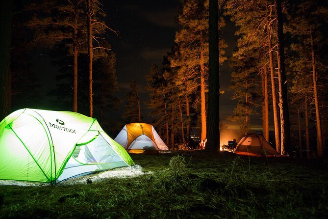 Yosemite Classic Camping Trips - Overview of the Experience