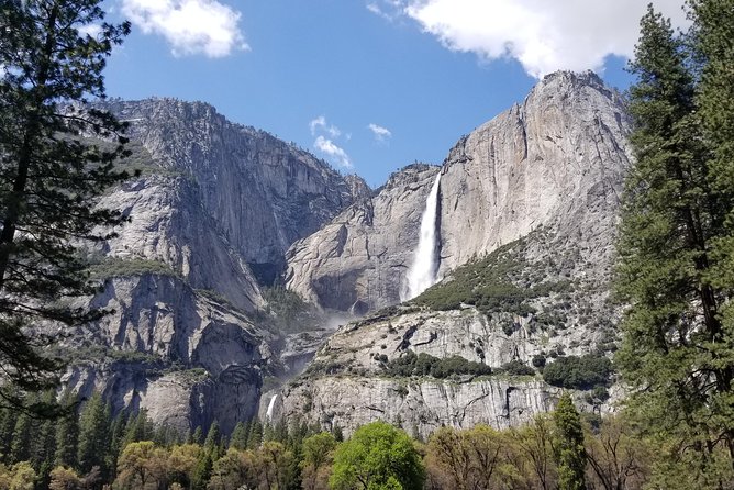 Yosemite Day Tour - Booking Information