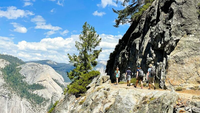 Yosemite Family Explorers: Customizable Private Tour - Customized Itinerary