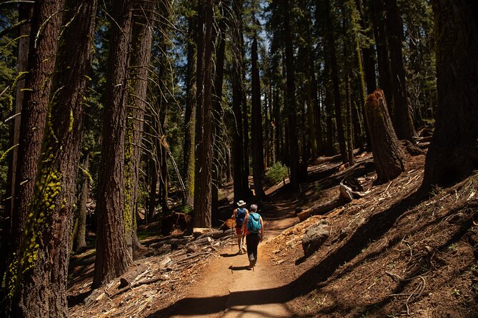 Yosemite Full Day Small Group High Country / Mariposa Tour - Tour Policies