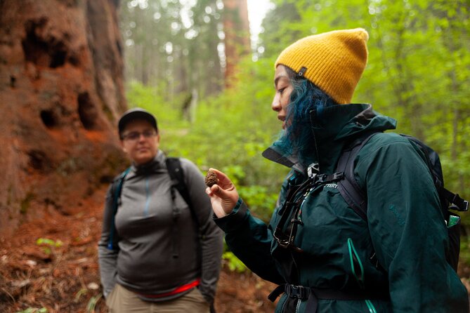 Yosemite Full Day Small Group High Country / Mariposa Tour - Additional Information