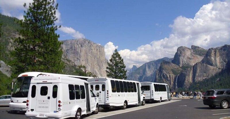 Yosemite: Full-Day Tour With Lunch and Hotel Pick-Up - Included Lunch Options