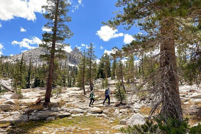 Yosemite: High Country Explorer - Private Hiking Tour - Meeting Point and Start Time
