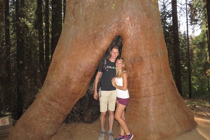 Yosemite National Park 2-Day Private Tour Package Hotel Accommodation Included - Itinerary Highlights