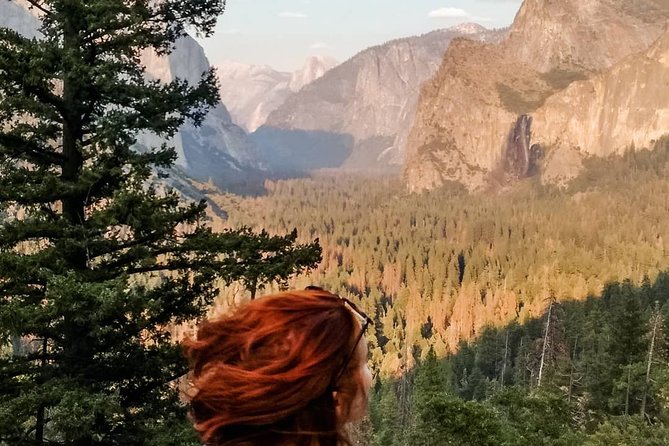 Yosemite National Park and Giant Sequoias Tour From San Jose - Tour Inclusions and Exclusions