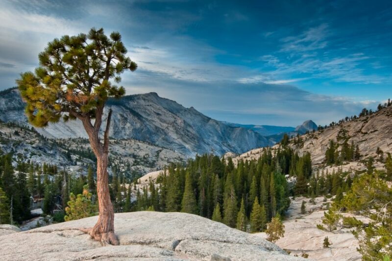 Yosemite National Park: App-Based Audio Guided Driving Route - Tour Experience and Itinerary