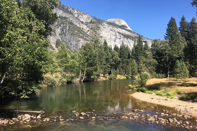 Yosemite National Park: Full Day Tour From San Francisco - Transportation and Guide