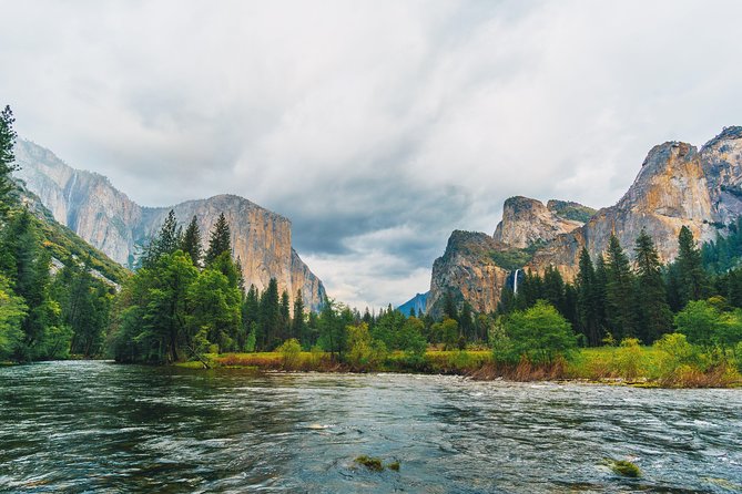 Yosemite National Park: Full Day Tour From San Francisco - Customer Reviews