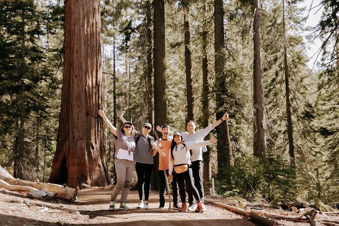 Yosemite National Park & Giant Sequoias 2-Day Semi-Guided Tour - Exploring Yosemite Valley