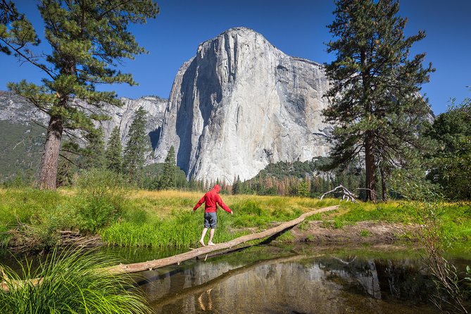 Yosemite National Park & Giant Sequoias 3-Day Semi-Guided Tour (No Accom) - Inclusions and Transportation