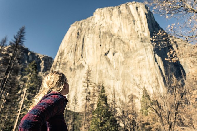 Yosemite National Park & Giant Sequoias 3-Day Semi-Guided Tour (No Accom) - Exploring Yosemite National Park