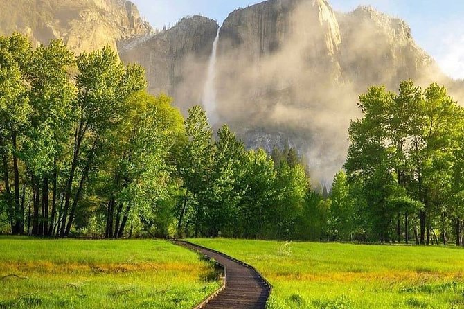 Yosemite National Park & Giant Sequoias 3-Day Semi-Guided Tour (No Accom) - Discovering Giant Sequoias