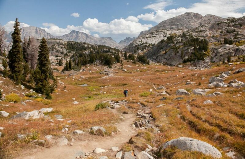 Yosemite National Park Guided Hike and Tour - Key Points