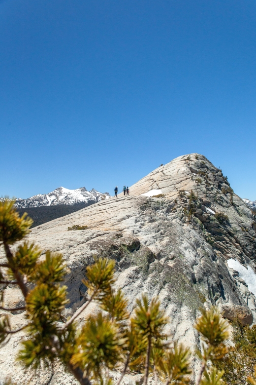 Yosemite National Park Guided Hike and Tour - Experience Highlights