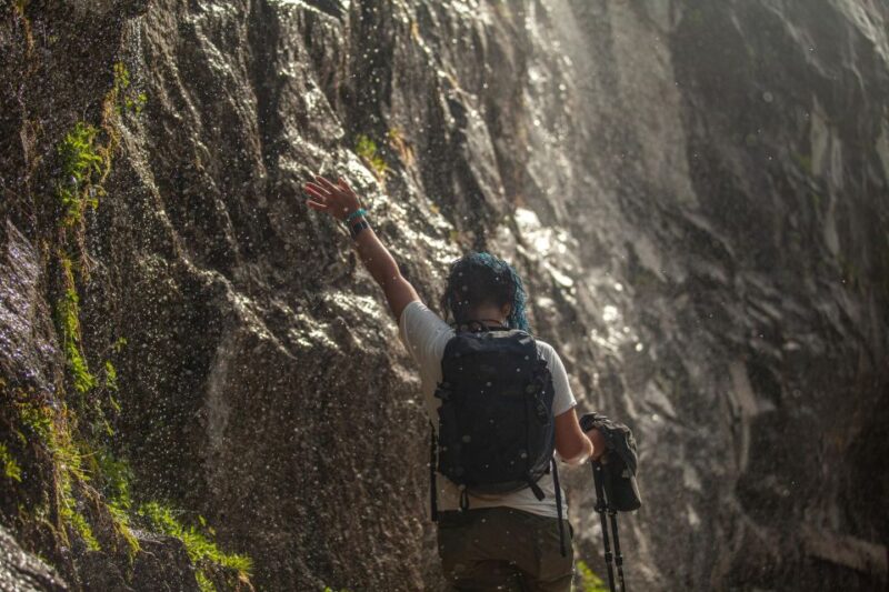 Yosemite National Park Guided Hike and Tour - Inclusions