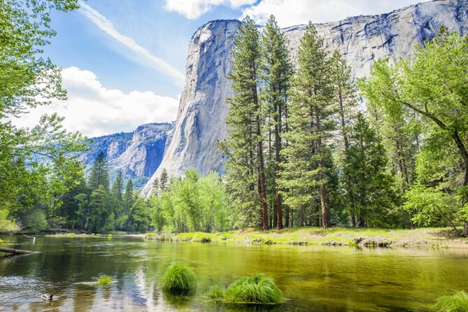 Yosemite National Park Self Guided Driving Audio Tour Guide - Experience