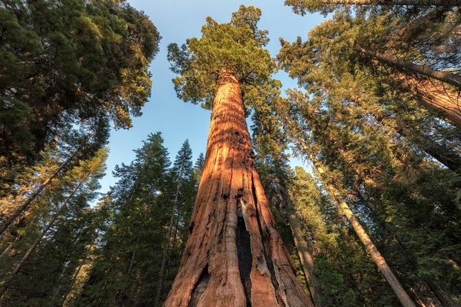 Yosemite National Park Self Guided Driving Audio Tour Guide - Location