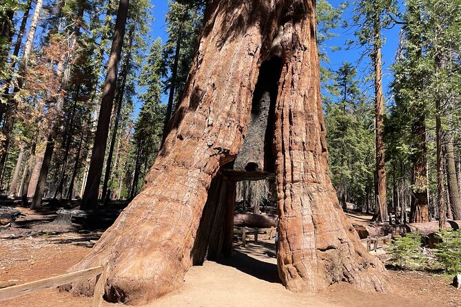 Yosemite National Park & Sequoias Private Tour From San Francisco - Additional Information