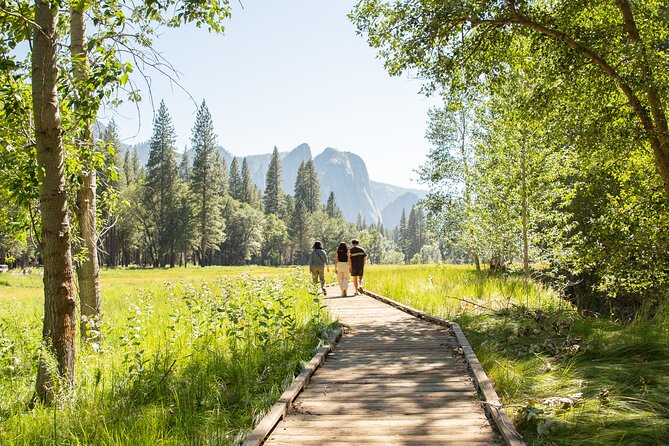 Yosemite Two Day Private Tour and Hike - Giant Sequoia Forests