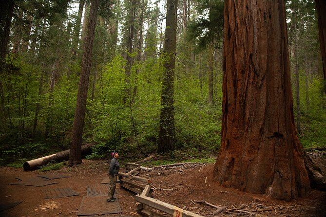 Yosemite Two Day Private Tour and Hike - Knowledgeable Naturalist Guides