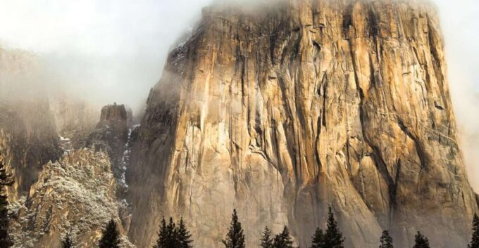 Yosemite Valley: 3-Day Lodging Adventure - About the Tour Operator