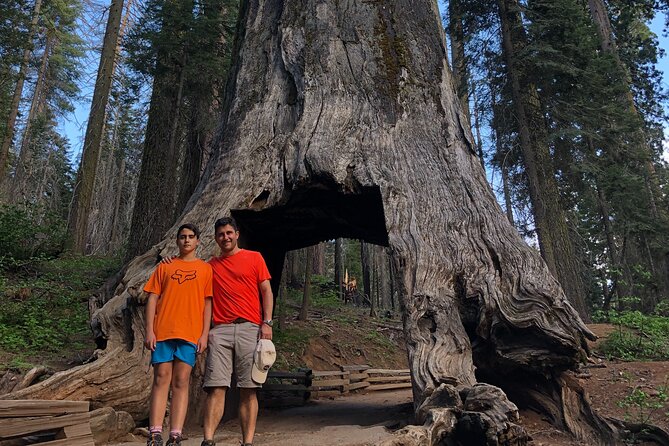 Yosemite Valley Discovery Walk - Inclusions and Amenities