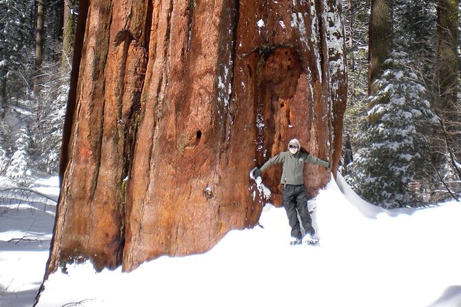 Yosemite Valley Discovery Walk - Physical Fitness Requirements