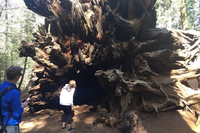 Yosemite Valley Discovery Walk - Confirmation and Booking Process