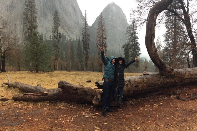 Yosemite Valley Discovery Walk - Traveler Reviews and Rating