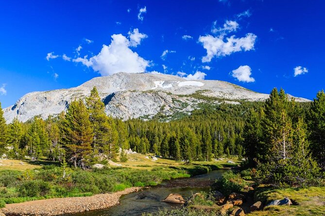 Yosemite's High Country Adaptive Tour - Key Points