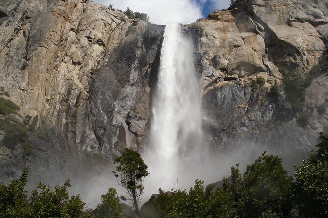 Yosemite's High Country Adaptive Tour - Adaptive Features and Accommodations