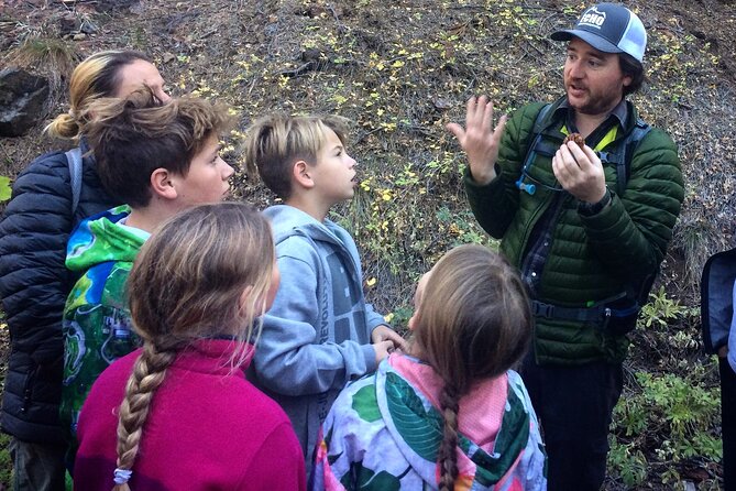 Yosemite's High Country Adaptive Tour - Experiencing the Natural Beauty