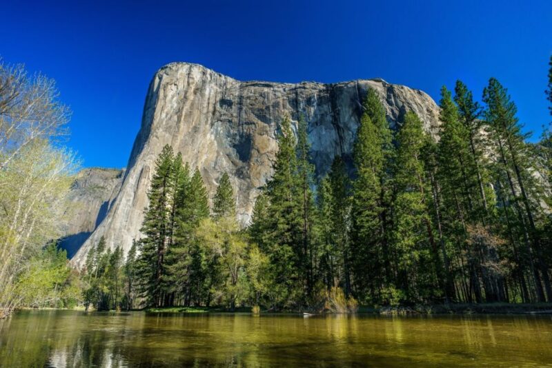 Yosemite'S Natural Wonders: Private Day Tour From San Jose - Pickup and Drop-off