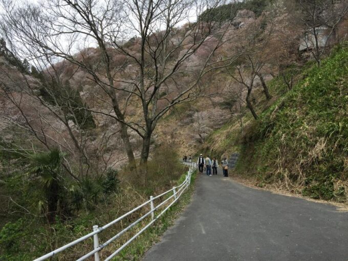 Yoshino: Private Guided Tour & Hiking in a Japanese Mountain - Getting There