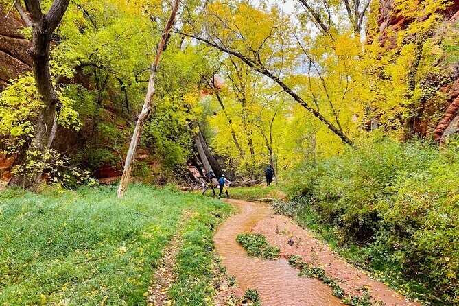 YOU DRIVE!! 4 Hr East Zion Guided UTV Tour - FAQs