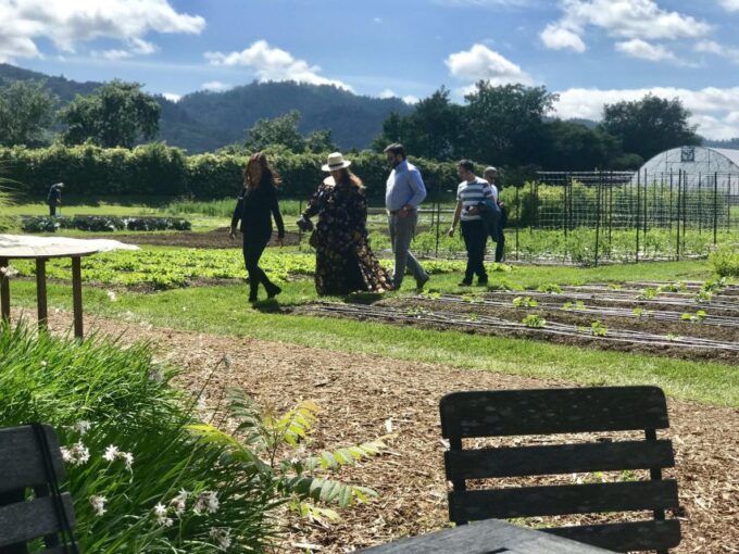 Yountville: Culinary Delights Food and Wine Tour - Frequently Asked Questions